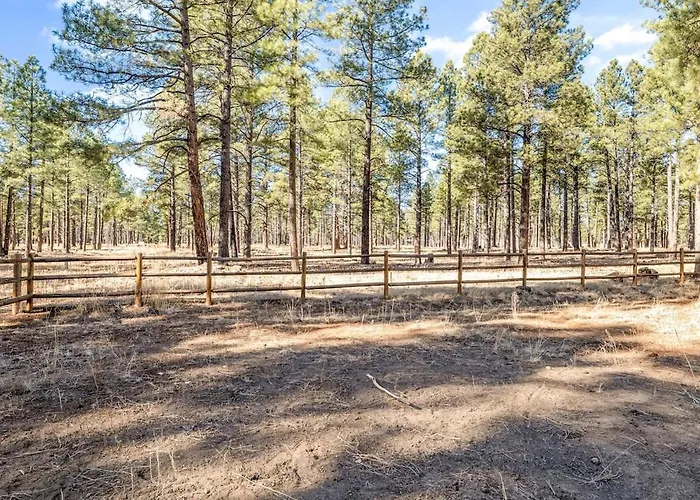 Pinewood - Backs To Forest - Near Downtown! Holiday home *
