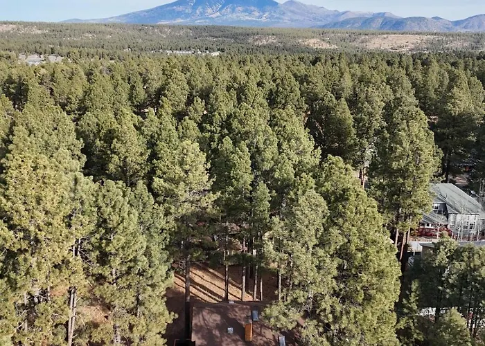 Pinewood - Backs To Forest - Near Downtown! * Flagstaff